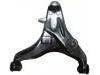 Control Arm:4013A088